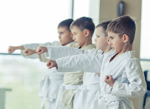 Karate and Martial Arts Instruction